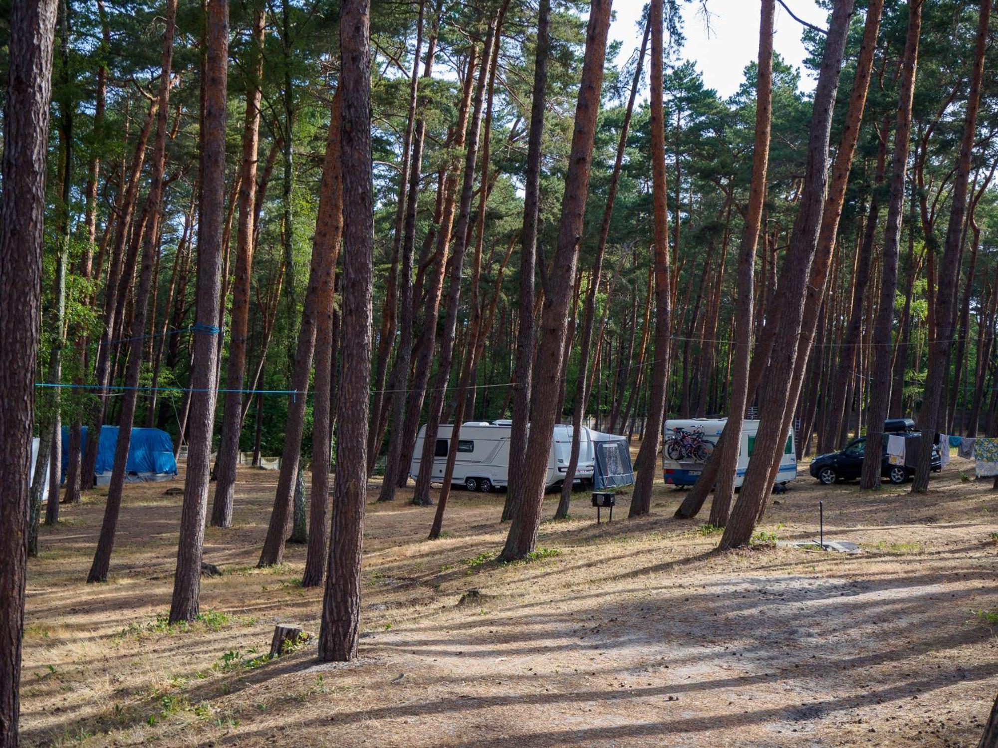 Dom Wczasowy Gallus- Pokoje Z Klimatyzacja Krynica Morska Exterior photo
